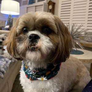 Meet your Posher, Donna